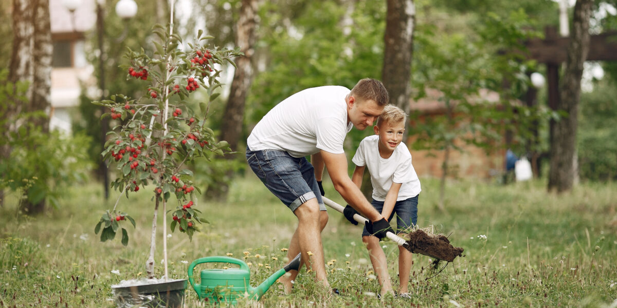 Как своими руками превратить дачный участок в уютное пространство для отдыха