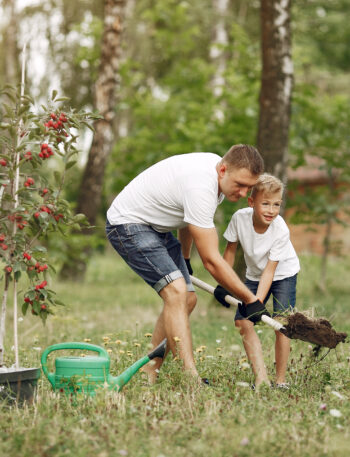 Как своими руками превратить дачный участок в уютное пространство для отдыха