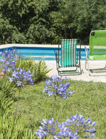 Бассейн на даче: роскошь или головная боль